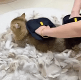 Pet Hair Removal Pad - Instant Fur Cleaner