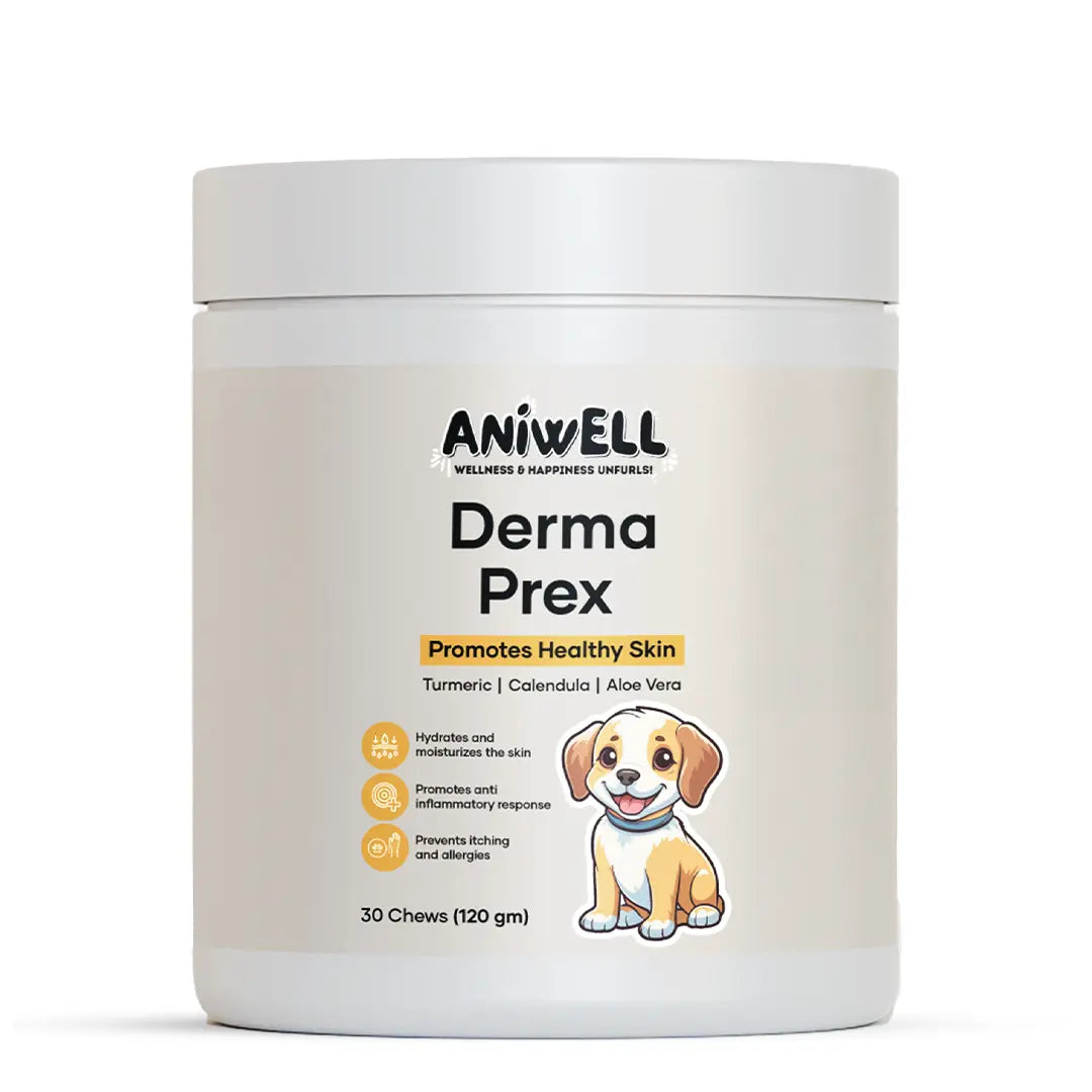 Dog Itch & Allergy Relief