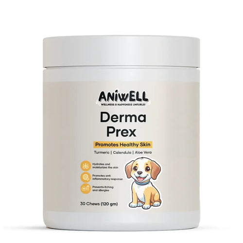 Dog Itch & Allergy Relief