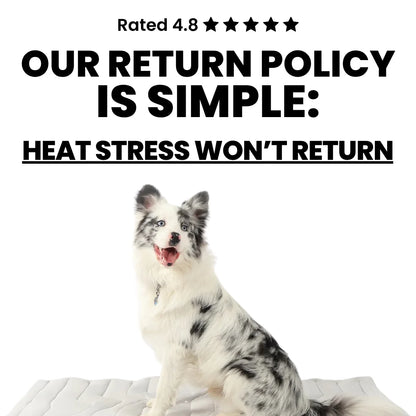 Vermeira Cooling Mat