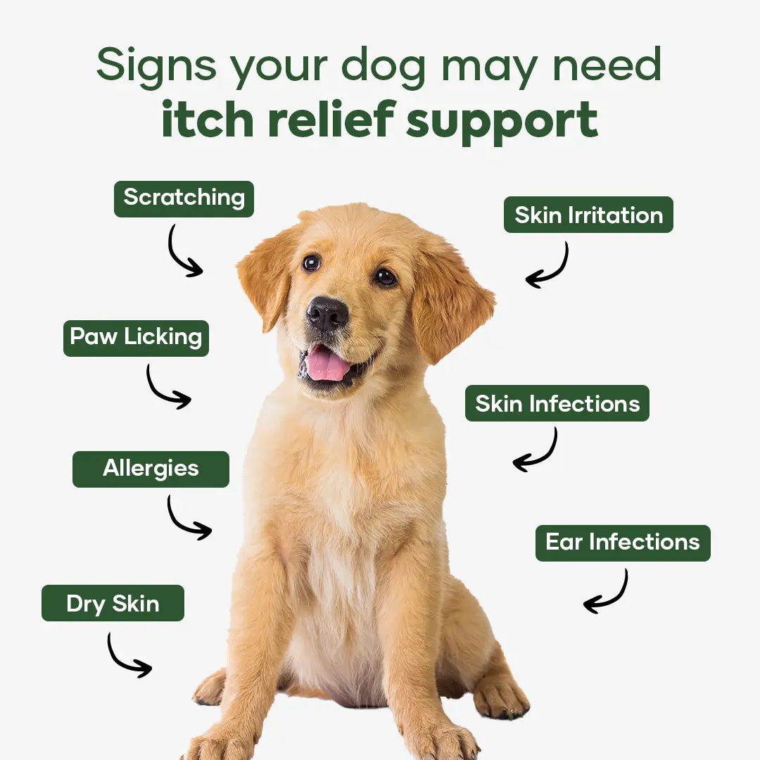 Dog Itch & Allergy Relief