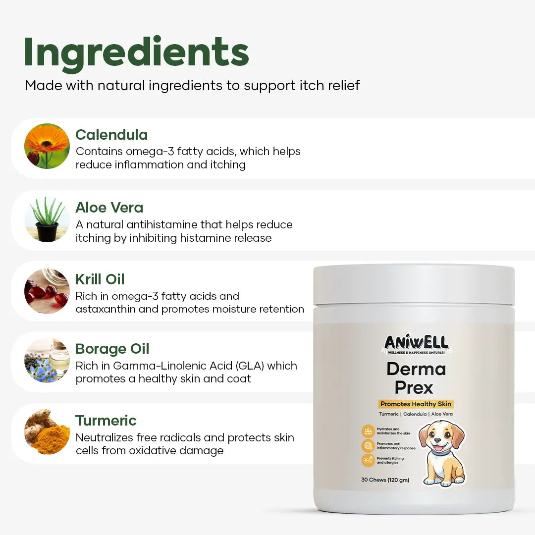 Dog Itch & Allergy Relief