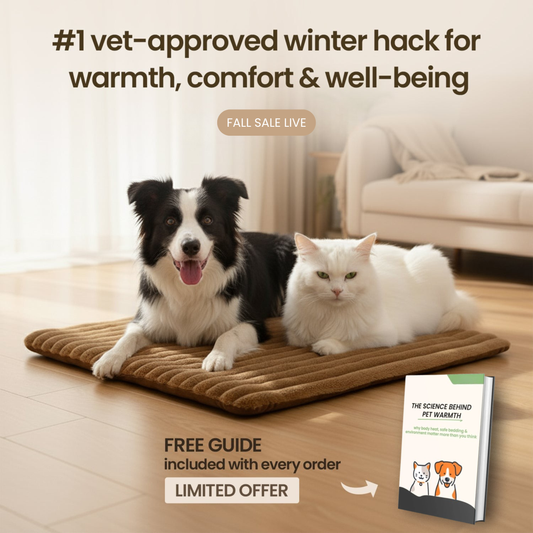 Self Warming Pet Mat